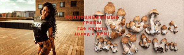 наркотики Алексин