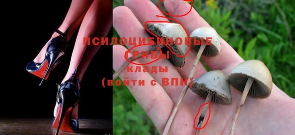 mdpv Аркадак