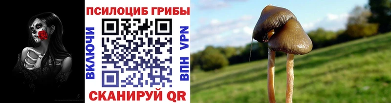 Галлюциногенные грибы MAGIC MUSHROOMS  Дмитровск 